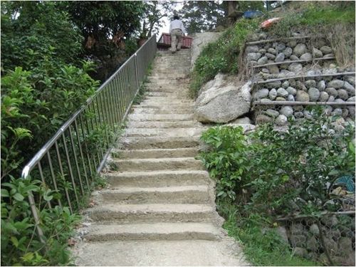 社區茶花園登山步道