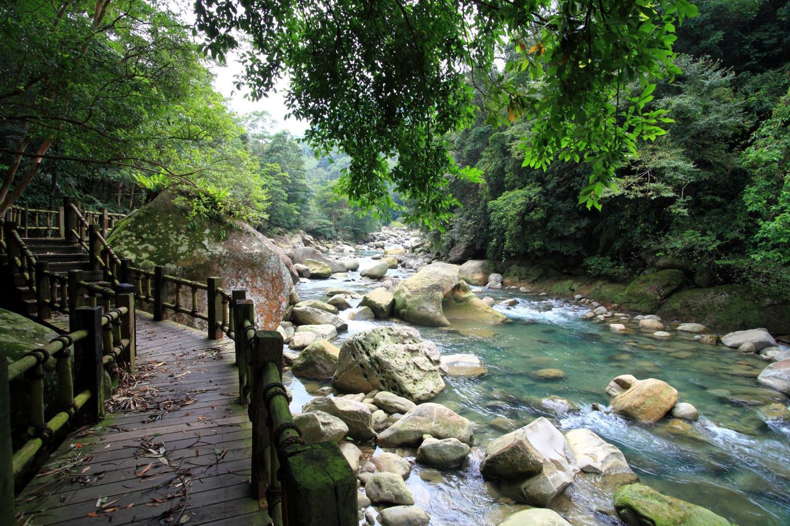 蓬萊溪護魚步道